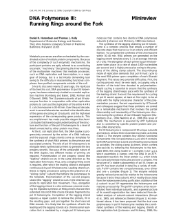 DNA Polymerase III: Minireview Running Rings