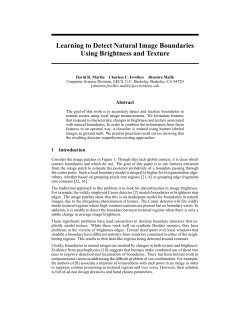 Learning to Detect Natural Image Boundaries Using Brightness and