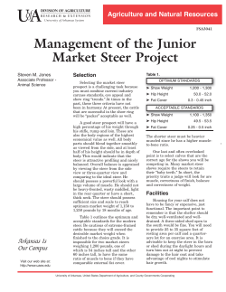 Management of the Junior Market Steer Project - FSA-3041