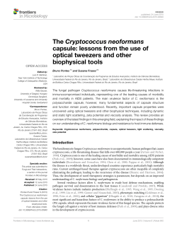 Frases et al - Semantic Scholar