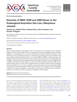 Diversity of MHC DQB and DRB Genes in the Endangered