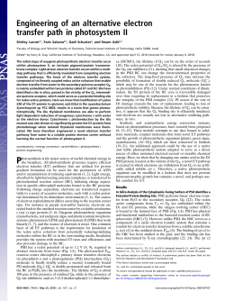 Engineering of an alternative electron transfer path in photosystem II