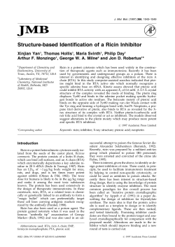 Structure-based Identification of a Ricin Inhibitor