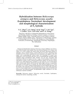 Hybridization between Helicoverpa armigera and Helicoverpa assulta