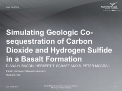 Simulating Geologic Co- sequestration of Carbon Dioxide