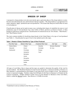 Breeds of Sheep - Gibsonburg Agricultural Education DepartmentMr