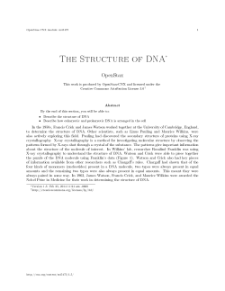 The Structure of DNA
