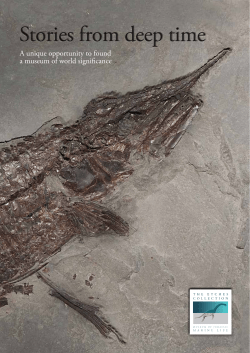Stories from deep time - The Etches Collection