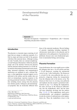 Developmental Biology of the Placenta
