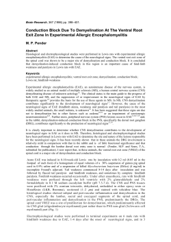 Conduction Block Due To Demyelination At The Ventral Root Exit