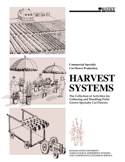 MF2155 Harvest Systems: Commercial Specialty Cut Flower