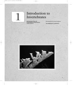 Introduction to Invertebrates