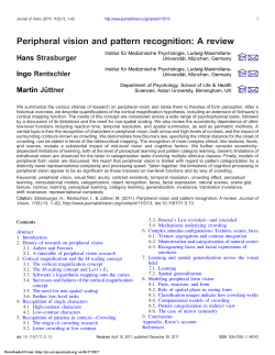 Peripheral vision and pattern recognition: A review