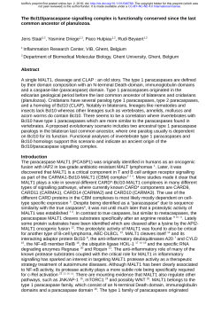 The Bcl10/paracaspase signalling complex is functionally