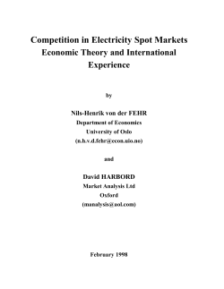 Competition in Electricity Spot Markets