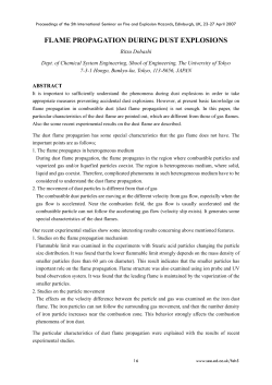 FLAME PROPAGATION DURING DUST EXPLOSIONS