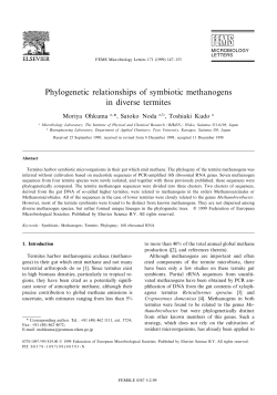 Phylogenetic relationships of symbiotic methanogens in diverse