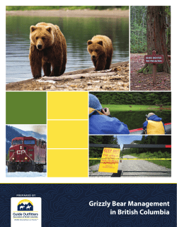 Grizzly Bear Management Program