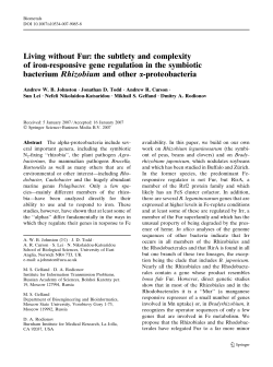 Living without Fur - RTCB, IITP, The Homepage