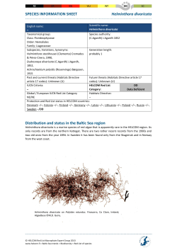 HELCOM Red List Helminthora divaricata
