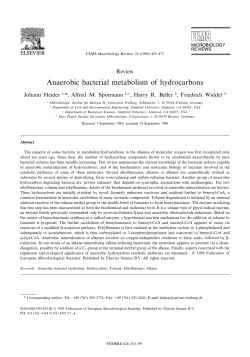 Anaerobic bacterial metabolism of hydrocarbons