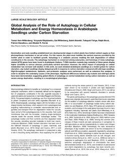 Global Analysis of the Role of Autophagy in Cellular