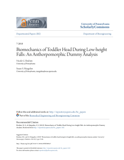 Biomechanics of Toddler Head During Low