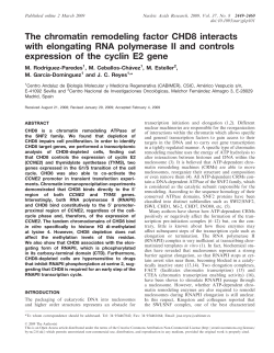 The chromatin remodeling factor CHD8 interacts with elongating