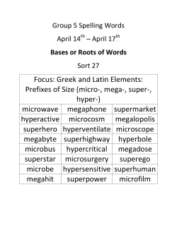 Focus: Greek and Latin Elements: Prefixes of Size (micro