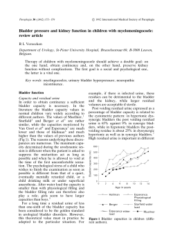 Bladder pressure and kidney function in children with