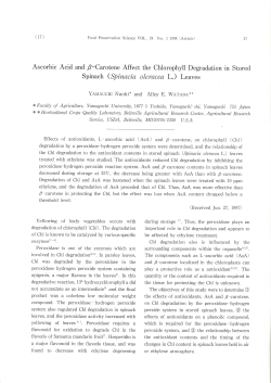 Ascorbic Acid and ﬂ—Carotene Affect the Chlorophyll