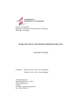 MASTER`S THESIS