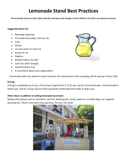 Lemonade Stand Best Practices