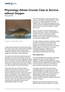 Physiology Allows Crucian Carp to Survive without Oxygen