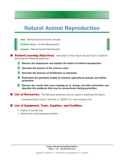 Natural Animal Reproduction
