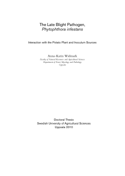 The Late Blight Pathogen, Phytophthora infestans