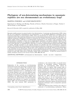 Phylogeny of sex-determining mechanisms in squamate reptiles: are