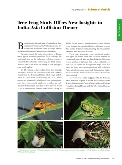 207 Tree Frog Study Offers New Insights to India