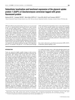 Subcellular localization and functional expression of the glycerol