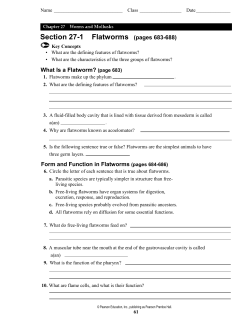 Section 27-1 Flatworms (pages 683-688)