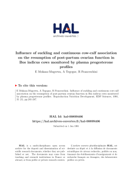 Influence of suckling and continuous cow-calf association on