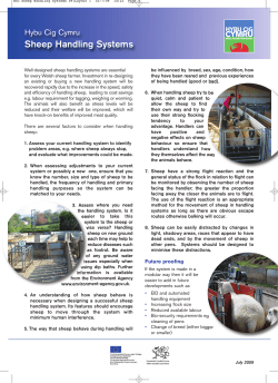 Sheep Handling Systems