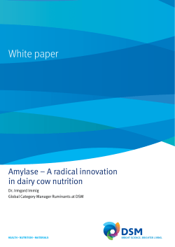 Amylase &ndash; A radical innovation in dairy cow nutrition