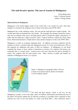 Fire and Invasive species: The case of Acacias in Madagascar