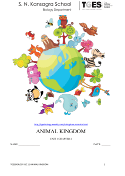 animal kingdom - biology4isc