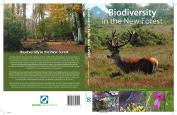 NFchapter8 - arboreous.info