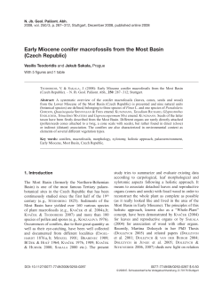 Early Miocene conifer macrofossils from the Most Basin (Czech