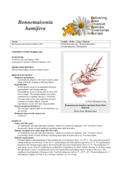 Bonnemaisonia hamifera - Delivering Alien Invasive Species