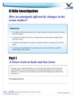 El Ni&ntilde;o Investigation