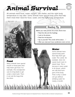 Animal Survival